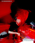 Tom Middleton