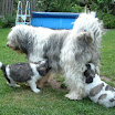 DSCF0013.JPG