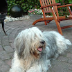 DSCF0035.JPG