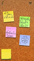 Maqs000085
