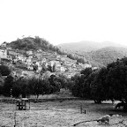 DSC01748bw.jpg