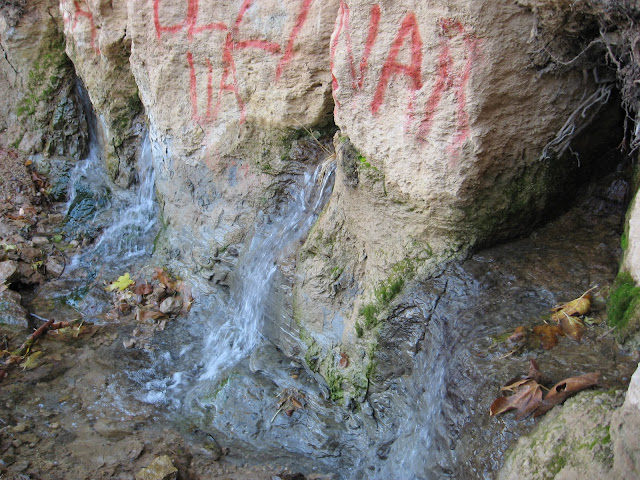 Resim