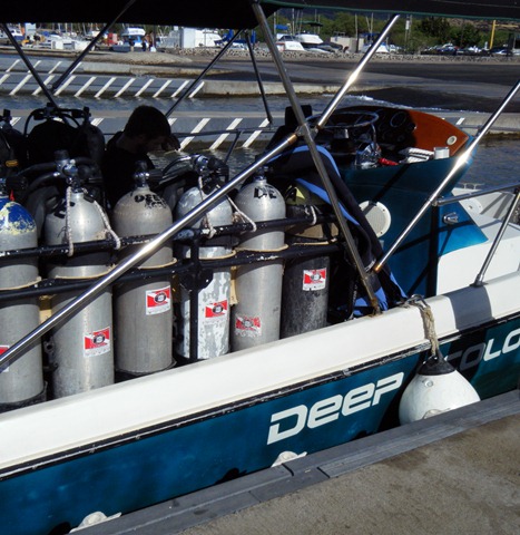 [dive3[1].jpg]