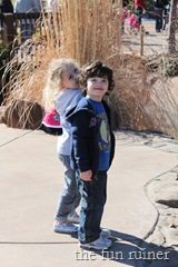 IMG_4479 IMG_4479