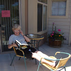 Picture 223.jpg
