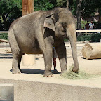 Picture 065 (Large).jpg