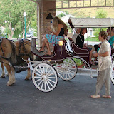 Picture 163.jpg