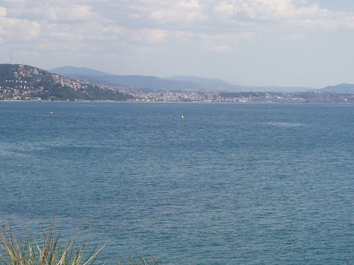 trieste