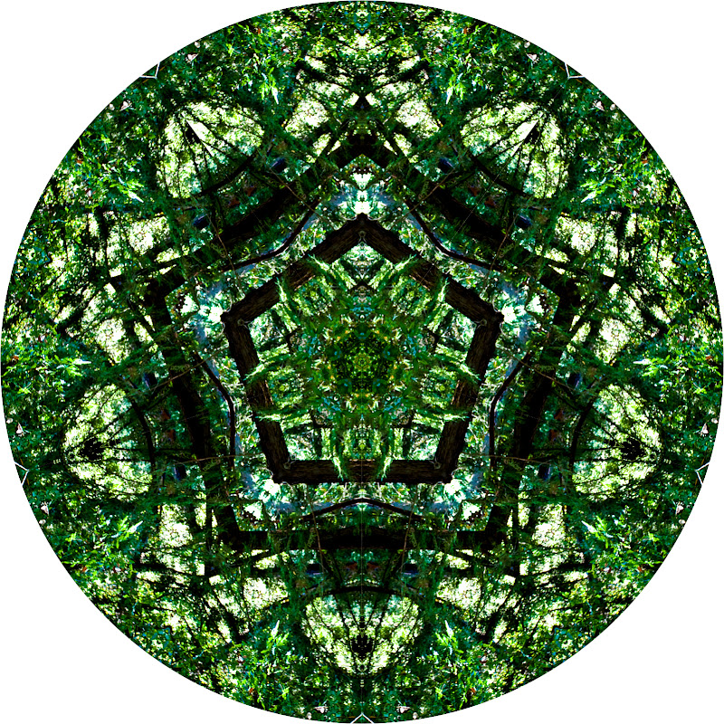 Forest Mandala