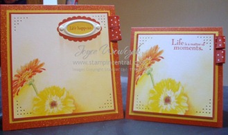 MDS GERBERA CARD DUO MDS GERBERA CARD DUO
