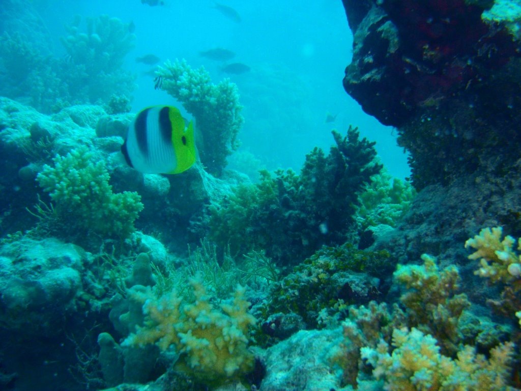[P52411842.jpg]
