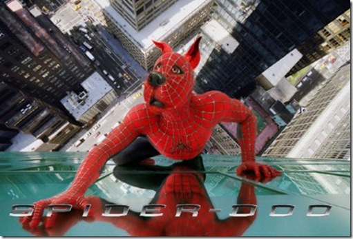 Scooby Doo Spiderman