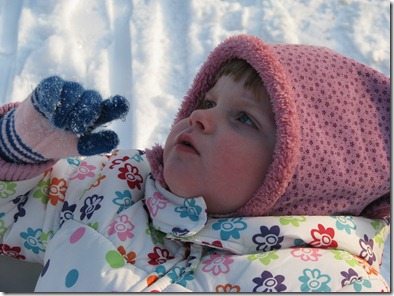 IMG_3651 IMG_3651