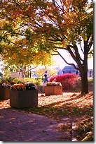 img11_sm
