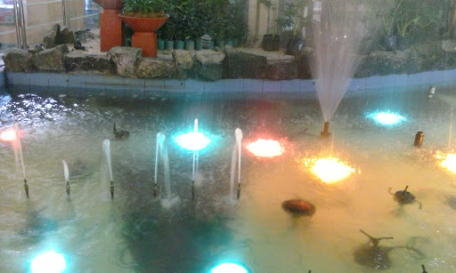 Robinsons Manila Fountain