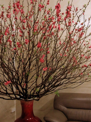  再见桃花时