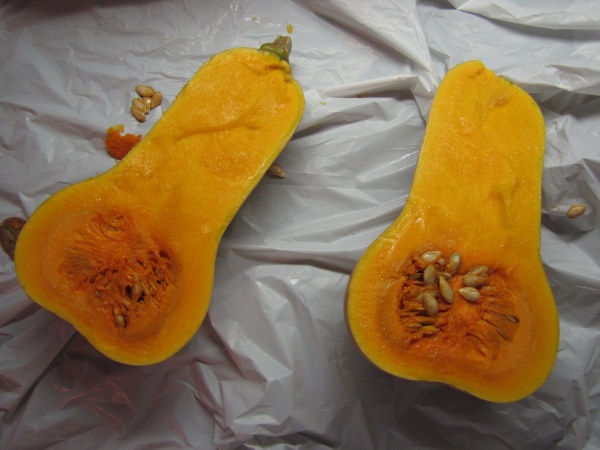 [psbnutsquashinhalf[3].jpg]