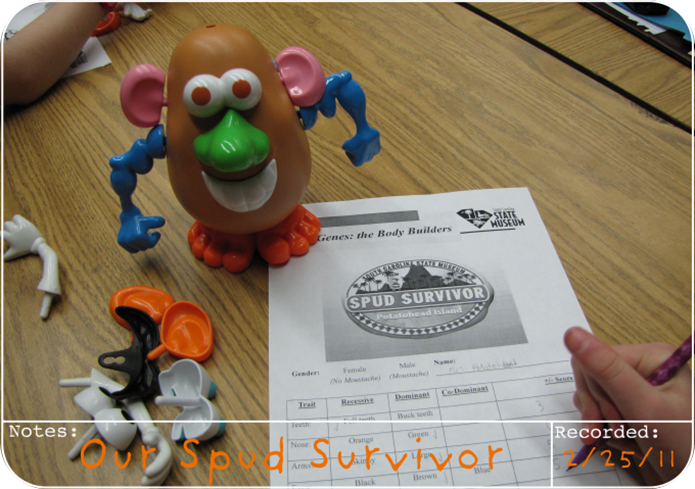 spudsurvivor