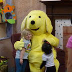 Spot and friends