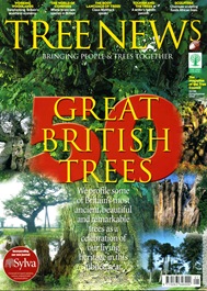 TREE NEWS3 TREE NEWS3