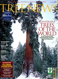 TREE NEWS4