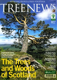 TREE NEWS5 TREE NEWS5