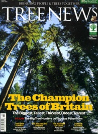 TREE NEWS6 TREE NEWS6