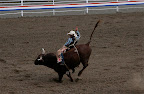 Bull riding.