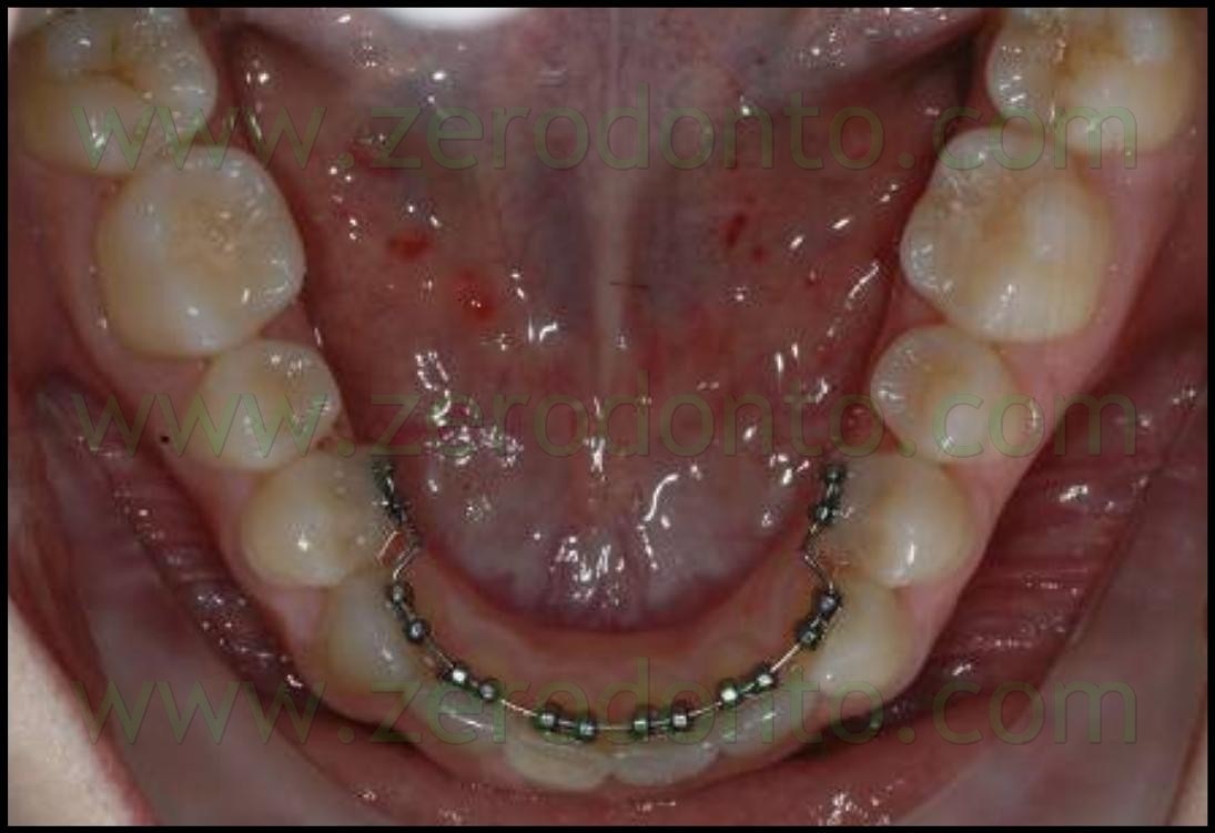 [fig 19[8].jpg]