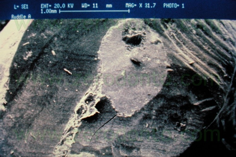 [Fig.32b5.jpg]