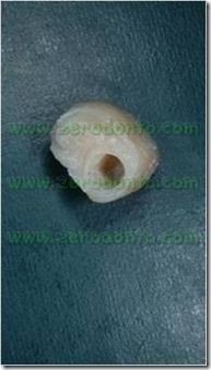 clip_image011