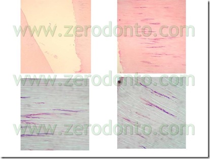Diapositiva2