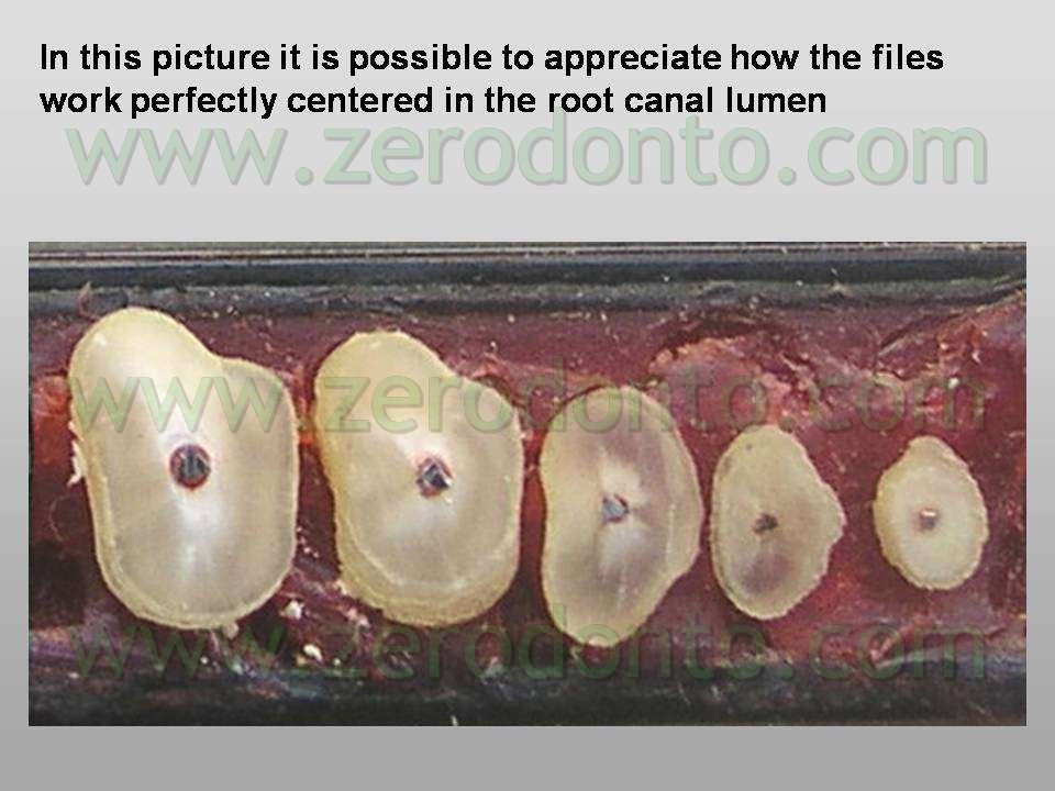 [Diapositiva7[4].jpg]