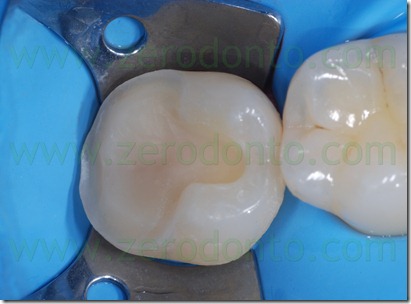 Fig0068Rosti Q4