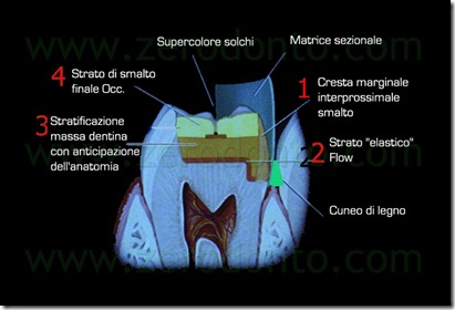Fig0011Rosti Q1