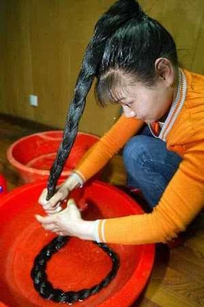 [longhair1[3].jpg]