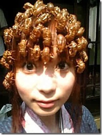 shokotan2