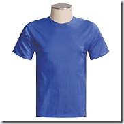 hanes tshirt