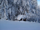 20090201-013.jpg