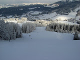 20090201-010.jpg