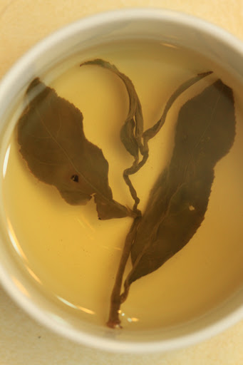 一心二葉的烏龍茶葉茶湯