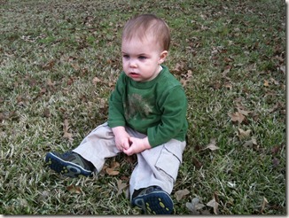 will in grass