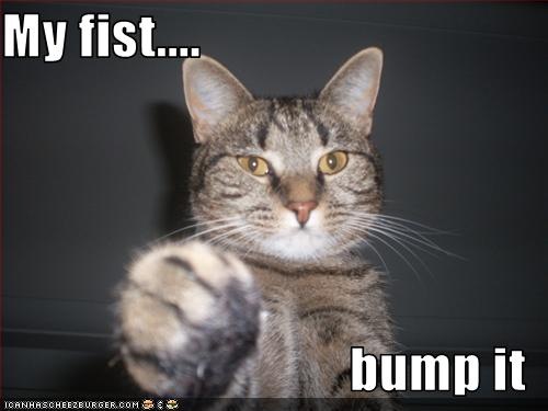 [funny-pictures-cat-offers-fist[7].jpg]