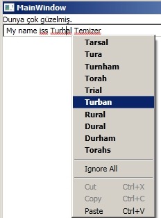 WPF TextBox Turhal