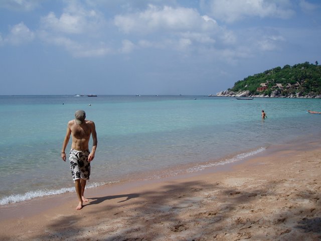 steve sb