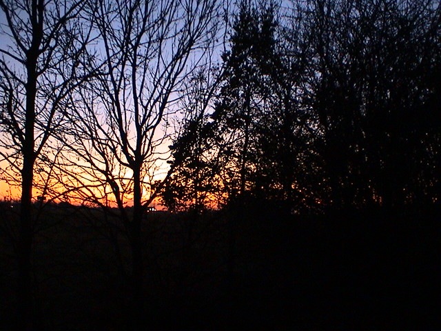 [DSC000717.jpg]