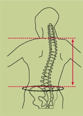 [Back2[3].jpg]