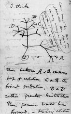 [Darwin_tree_of_life[3].jpg]