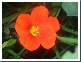 DSCF2266 DSCF2266