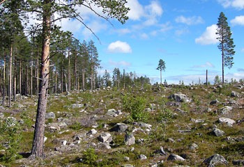 [kalhygge[10].jpg]